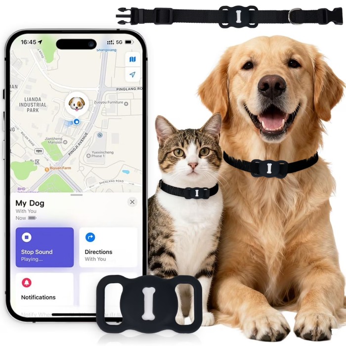 Track Your Valuables: Best Bluetooth Tracker Tags for Pets, Luggage, and More